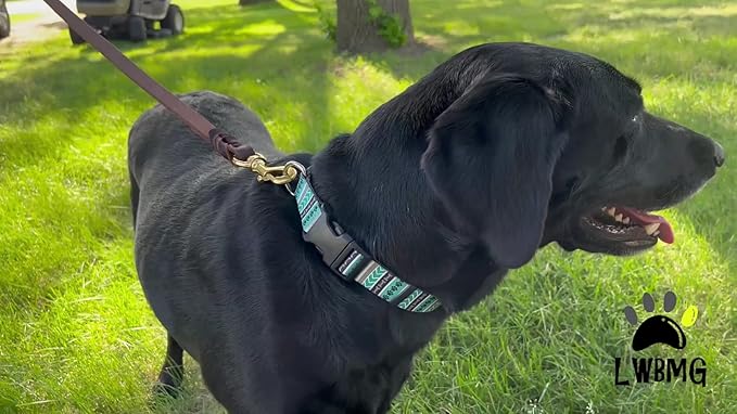 LWBMG Leather Dog Leash 8ft x 3/4 inch, Dog Leashes for Large Dogs Heavy Duty, Strong and Soft Handmade Braided Dog Training Leashes, Comfortable Leather Leash for Large Medium Small Dogs