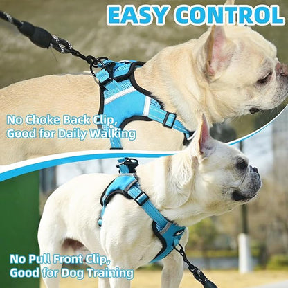 PUPTECK No Pull Dog Harness Small Sized Dog, Adjustable Reflective Escape Proof Easy Control, Comfortable Soft Padded Step in Pet Vest Harness, Blue, XS