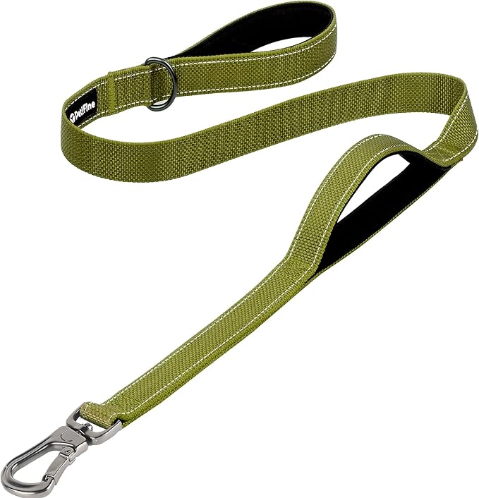 PetiFine 4FT Heavy Duty Dog Leash with Soft Padded Double Handle, Durable Strong Clasp Dog Leashes, Reflective Nylon Walking Lead for Large,Medium,Small Breed Dogs, Green