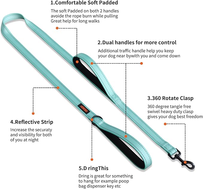 Heavy Duty Leash for Large Breed Dogs - Double Handle Reflective Training Lead - Perfect for Medium to Large Dogs (6FT Lake Blue)
