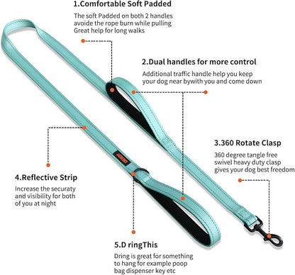 Heavy Duty Leash for Large Breed Dogs - Double Handle Reflective Training Lead - Perfect for Medium to Large Dogs (6FT Lake Blue)