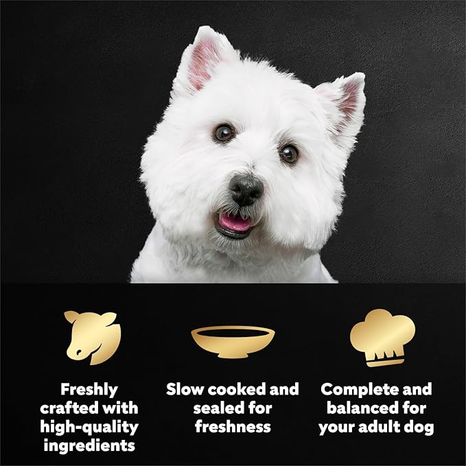 Cesar Filets in Gravy Wet Dog Food, Porterhouse Steak Flavor, 1.76 oz. Mini-Pouch, 20 Count