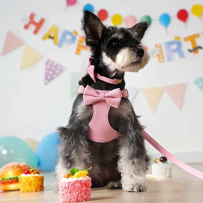 Beirui Adorable Small Dog Harness Collar and Leash Set,Cute Puppy Harness Set with 3 Bows for Small Dogs,Shih Tzu,Dachshund,Adjustable Step-in Vest for Daily Walking,Parties&Holiday Outfits(Pink,S)
