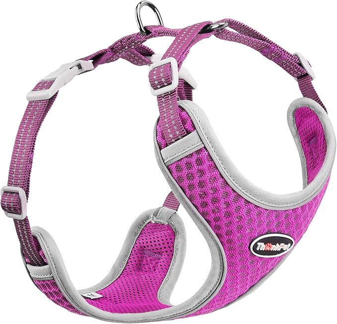 ThinkPet Reflective Breathable Soft Air Mesh No Pull Puppy Choke Free Over Head Vest Ventilation Harness for Puppy Small Medium Dogs and Cats (Purple,L)