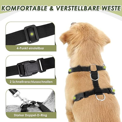 Lukovee Dog Seat Belt for Car, Adjustable Dog Car Harness for Large Medium Small Dogs, Soft Padded & Breathable Mesh Dog Seatbelt with Car Vehicle Connector Strap (Blue Double Clip,Large)