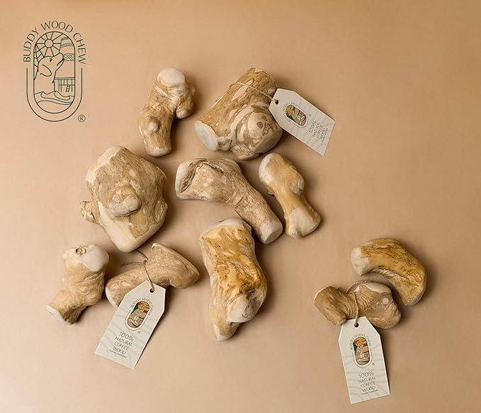 Buddy Wood Chew - Coffee Wood Toys for Dog - Gorilla Chew, Natural Dog Bone Alternative, Durable, Long Lasting (M (Single))