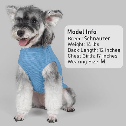 KYEESE 2Pack Waffle Dog Shirts for Large Dogs Stretchy T-Shirts Lightweight Tank Top Sleeveless Striped Shirt Vest Soft Breathable Pet Apparel, XXX-Large, Blue+Striped