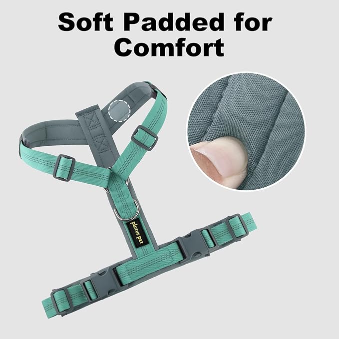 Plutus Pet No Pull Dog Harness, Adjustable Nylon Harness with Soft Padding, Reflective and Heavy Duty Dog Harness for Small, Medium, Large Dogs(Teal, M)