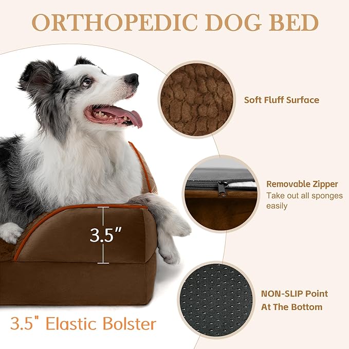 Comfort Expression Orthopedic Dog Bed for Small Dogs 20x14 Inch, Waterproof Supportive Egg Crate Foam Small Pet Bed with Removable Bolsters, Dog Couch with Washable Cover & Non-Slip Bottom, Dark Brown