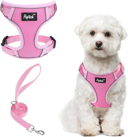 PUPTECK Small Dog Harness and Leash Set, No Pull Adjustable Puppy Cat Harness, Reflective Soft Mesh Pet Vest Small Sized, Pink, M