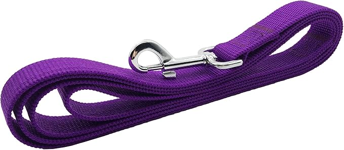 TAIAN 5 FT Strong Dog Leash, Nylon Dog Leashes for Small Medium Large Dogs Purple