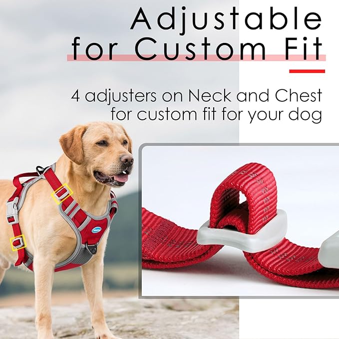 ThinkPet No Pull Harness Breathable Sport Vest with Handle-Dog Harnesses Reflective Adjustable for Medium Large Dogs
