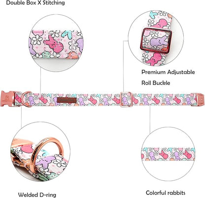 Lionheart glory Easter Dog Collar Colorful Collar for Medium Dog Collars Rabbits Print Dog Collars Spring Female or Male Pet Gift Adjustable Heavy-Duty Pet Collar Holiday