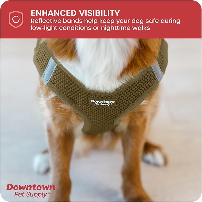 Downtown Pet Supply Step in Dog Harness for Small Dogs No Pull, Large, Hunter Green - Adjustable Harness with Padded Mesh Fabric and Reflective Trim - Buckle Strap Harness for Dogs