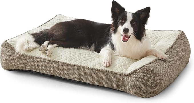 JOEJOY XL Orthopedic Dog Beds Large Sized Dog, Extra Thick Supportive Big Dogs Couch Bed with Sides, Ultra Soft Pet Bed Sofa for Large Dogs, Beige, 38''x28''