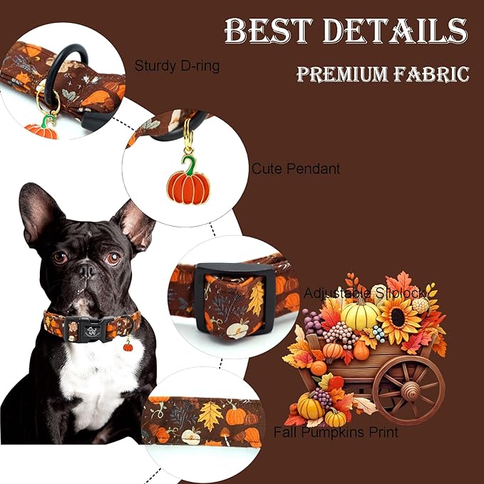 Elegant little tail Halloween Dog Collar, Pumpkin with Maple Leaf Print Fall Pet Collars Cotton Soft Sturdy Puppy Collars Holiday Female Adjustable Collar for Medium Dogs