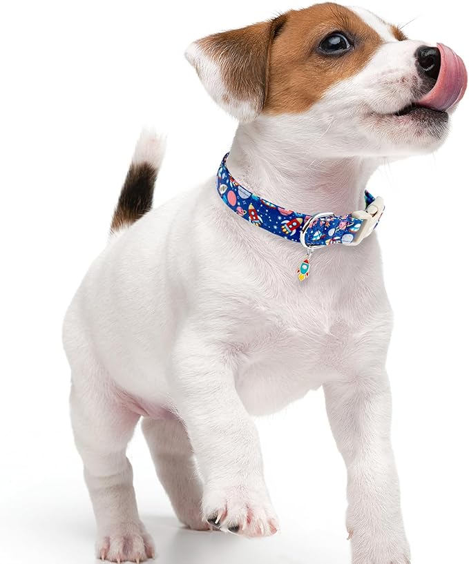 Faygarsle Space Theme Dog Collar, Navy Blue with Rockets and Planets Pattern for Summer Small Medium Large Dogs L