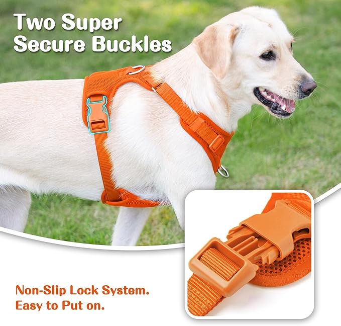 No Pull Dog Harness for Small Medium Large Dogs - Adjustable 2 Layer Mesh Dog Vest with Dual Clip, Escape Proof, Quick Release, Lightweight Breathable Mesh for Walking Hiking (Orange,S)