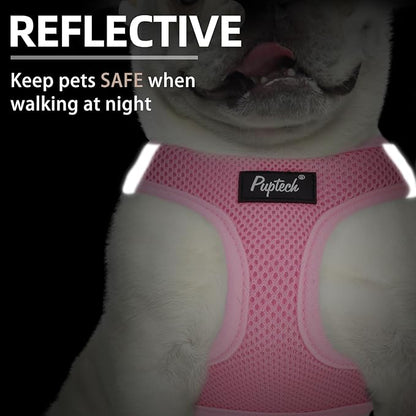 PUPTECK Dog Harness and Leash Set for Small Medium Dogs No Pull Step-in Soft Mesh Puppy Cat Vest Harnesses Reflective at Night, Pink & Blue, M