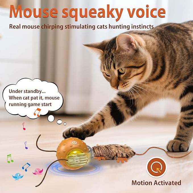 Oxawo Cat Toys Interactive Self Rolling Cat Balls with Mouse Tails Automatic Moving Fast on Carpet, Rechargeable & Motion Activated