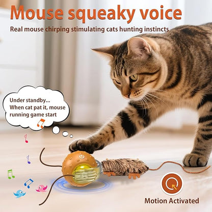 Oxawo Cat Toys Interactive Self Rolling Cat Balls with Mouse Tails Automatic Moving Fast on Carpet, Rechargeable & Motion Activated