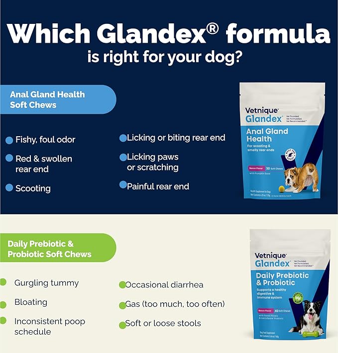 Vetnique Glandex Daily Probiotics for Dogs with Prebiotics to Support Gut Health with Fiber and Digestive Enzymes, Probiotic Chews or Powders (60ct Chews, Bacon Chews)