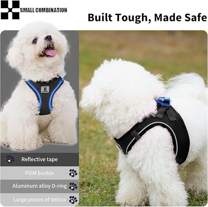 Adjustable Dog Harness with Leash, Reflective Mesh, No-Pull Design，Matching Lead Rope (Black, XXS)
