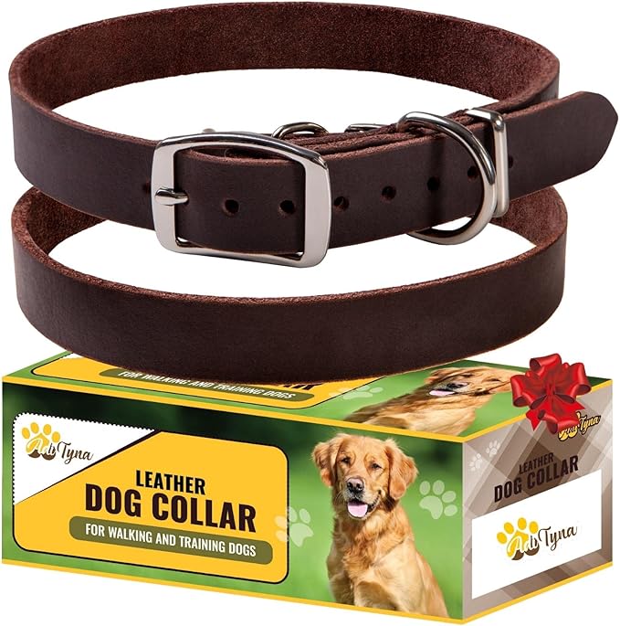 ADITYNA Leather Dog Collar for Small Dogs - Classic, Soft, Strong, Heavy Duty, Handmade Top-Grain Leather - for Walking, Training, and Hiking