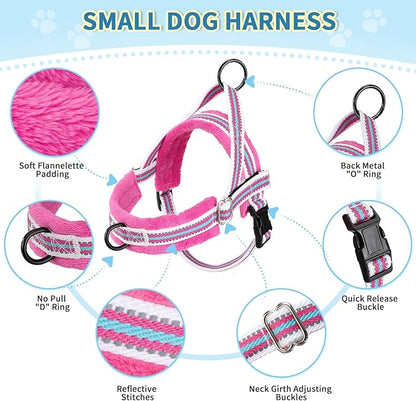 Lukovee No Pull Dog Harness and Leash Set, Soft Padded Small Dog Harness, Neck & Chest Adjustable Reflective Vest Puppy Harness with 4ft Lightweight Anti-Twist Dog Leash for Small Dogs (XXS, Fuschia)