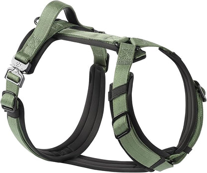 PawsPassion Dog Harness for X-Large Dogs, No Pull Dog Harness Easy Walk with Metal Hardware, Ergonomic Y-Shaped Design, Soft Padding, Padded Handle, Durable High-Tensile Nylon (Evergreen, XL)