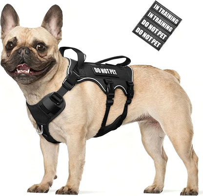WINSEE Escape Proof Dog Harness, Service Working Molle Harness with Double Handle, Tactical Pet Vest with 4 Patches for Small Medium Large Dogs Walking Hiking Hunting