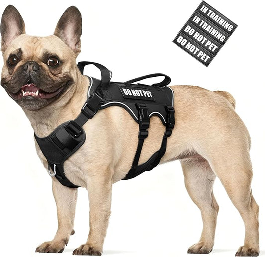 WINSEE Escape Proof Dog Harness, Service Working Molle Harness with Double Handle, Tactical Pet Vest with 4 Patches for Small Medium Large Dogs Walking Hiking Hunting