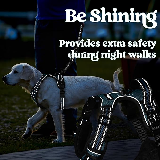 rabbitgoo Dog Harness Small Sized, No Pull Pet Harness with 3 Buckles, Adjustable Soft Padded Vest with Control Handle, Walking Reflective Pet Vest for Small Dogs, Blue Coral, S