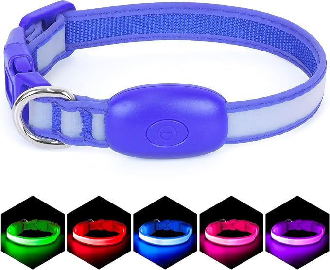 Light up Collar for Small Dog,Vizpet XS Adjustable Size Nylon Collar USB Rechargeable Bright Safety Pet Collar for Cats Small Dogs (Blue, X-Small[ 8.66-11.9 inch/22cm-30cm])