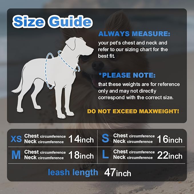 Dog Harness Medium Sized Dogs, Puppy Harness and Leash Set for Training, Running, Walking, Suitable for Small and Medium Dog Vest, Blue, XS