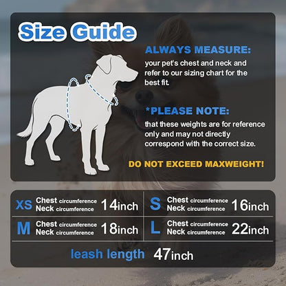 Dog Harness Medium Sized Dogs, Puppy Harness and Leash Set for Training, Running, Walking, Suitable for Small and Medium Dog Vest, Blue, M