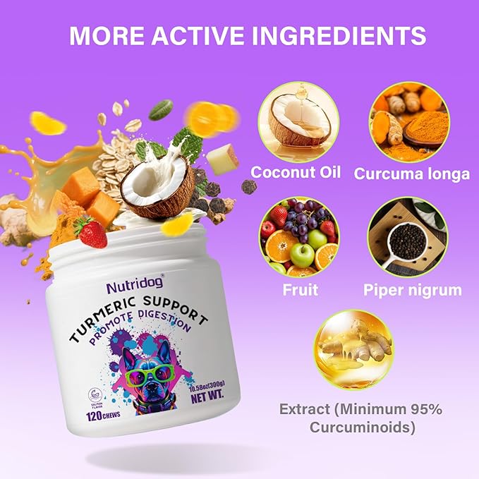 Turmeric Chews for Dogs with Curcumin & Coconut Oil Joint Pain Relief, Anti-Inflammatory Antioxidant Support, 120 Salmon-Flavored Soft Chews for Hip & Joint Mobility (120 Ct, Salmon)