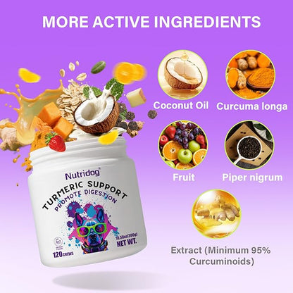 Turmeric Chews for Dogs with Curcumin & Coconut Oil Joint Pain Relief, Anti-Inflammatory Antioxidant Support, 120 Salmon-Flavored Soft Chews for Hip & Joint Mobility (120 Ct, Salmon)