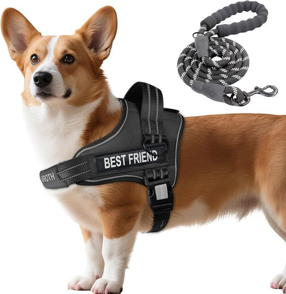 AUROTH Dog Harness and Leash Set, Soft Padded Dog Vest with 5.25FT Dog Leash, No Choke, Easy On Pet Vest, Adjustable Reflective No Pull Dog Harness Small Sized Dog, Easy Walking and Training