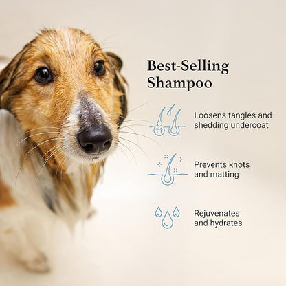 iGroom Deshedding & Detangling Dog Shampoo, Luxury Pet Beauty Care, Loosen Tangles + Unwanted Undercoat, Adds Shine + Volume, Made in USA (1 GAL)
