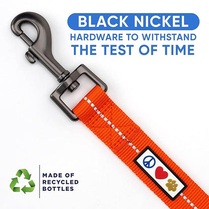 Pawtitas Orange Dog Leash 6 ft XS/S Reflective Durable Lightweight Recycled Lead for Small Dogs and Puppies