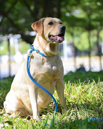 lynxking Dog Leash Slip Lead 5 6 8 FT Dog Training Leash Strong Heavy Duty Braided No Pull Training Lead Leashes for Small Medium Large Dogs