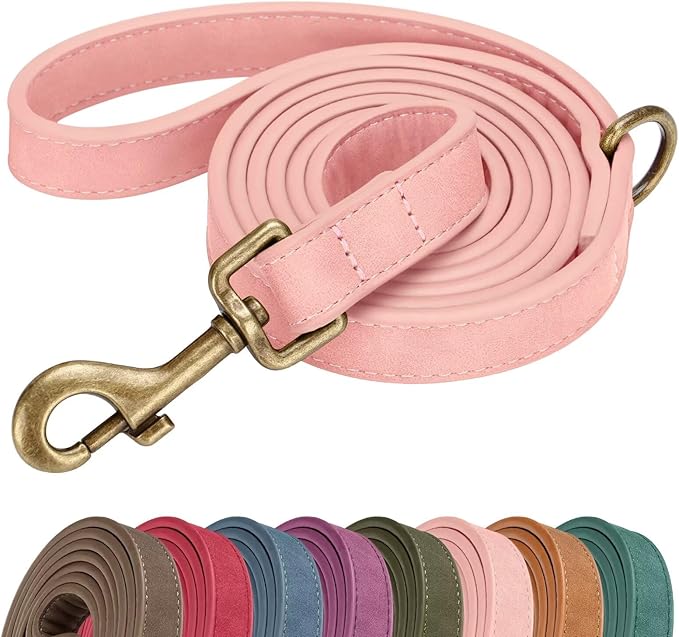 Didog Stylish PU Leather Dog Leash for Large Dogs, Easy to Clean 5ft Pink Dog Leashes for Medium Dogs, Cute and Fashionable for Walking, Running and Training,Pink, M