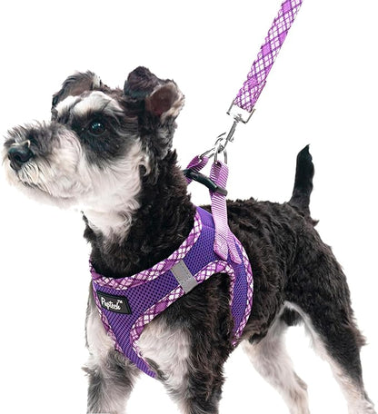 PUPTECK Dog Harness and Leash Set for Small Medium Dogs No Pull Step-in Soft Mesh Puppy Cat Vest Harnesses Reflective at Night, Purple S