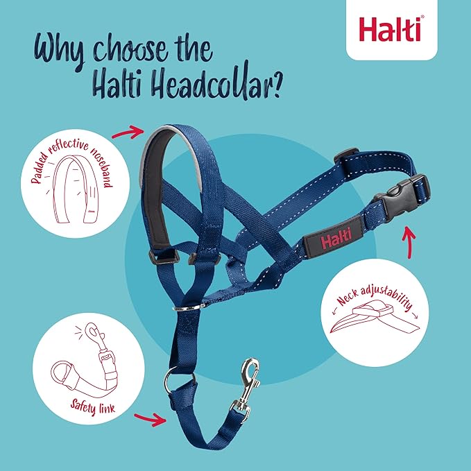 Halti Headcollar - Stop Your Dog Pulling on The Leash. Adjustable, Reflective and Lightweight, with Padded Nose Band. Dog Training Anti-Pull Collar for Small Dogs (Size 1, Cobalt Blue)