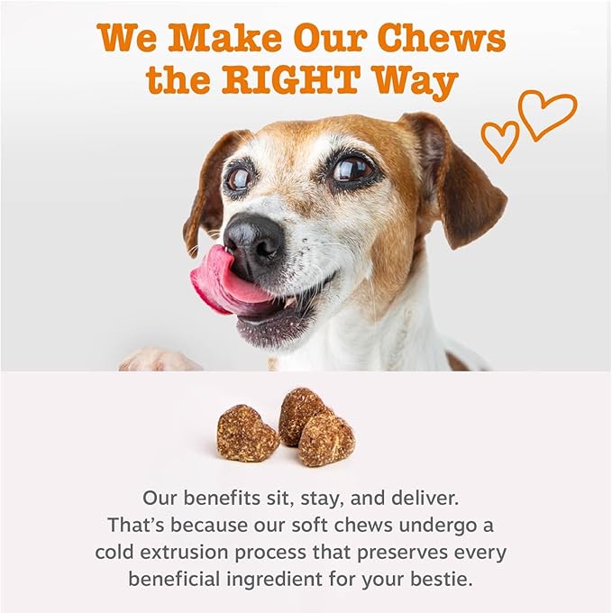 Zesty Paws Dog Allergy Relief Chews, Dog Probiotics for Itchy Skin and Ears, Salmon, 90ct