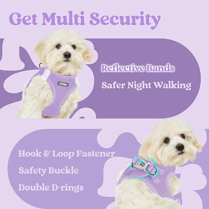 rabbitgoo Small Dog Harness, Step-in Soft Mesh Puppy Vest with Safety Buckle, Breathable Reflective Pet Harness for Small Sized Dogs, Light Purple XS