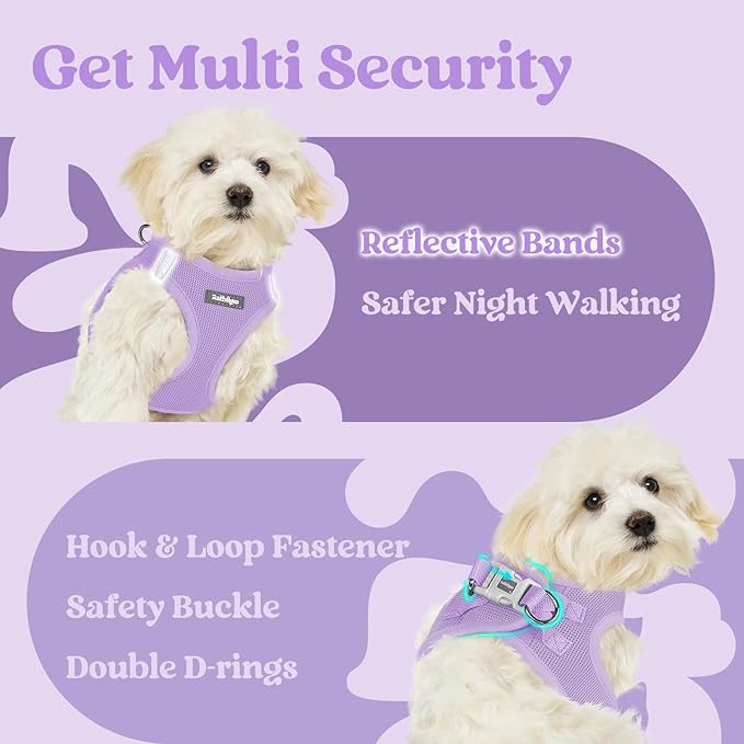rabbitgoo Small Dog Harness, Step-in Soft Mesh Puppy Vest with Safety Buckle, Breathable Reflective Pet Harness for Small Medium Dogs, Light Purple L
