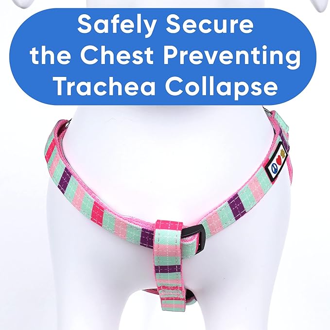 Pawtitas Multicolor Step-in Dog Harness – Adjustable No-Pull Vest for Puppies to Seniors, Safe & Comfortable S Teal/Pink/Purple