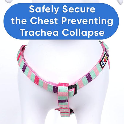 Pawtitas Multicolor Step-in Dog Harness – Adjustable No-Pull Vest for Puppies to Seniors, Safe & Comfortable S Teal/Pink/Purple